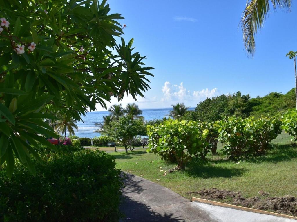 Studio Village Vacances,Vue Mer, Plage A 30M ,Wifi A Sainte Anne Zewnętrze zdjęcie
