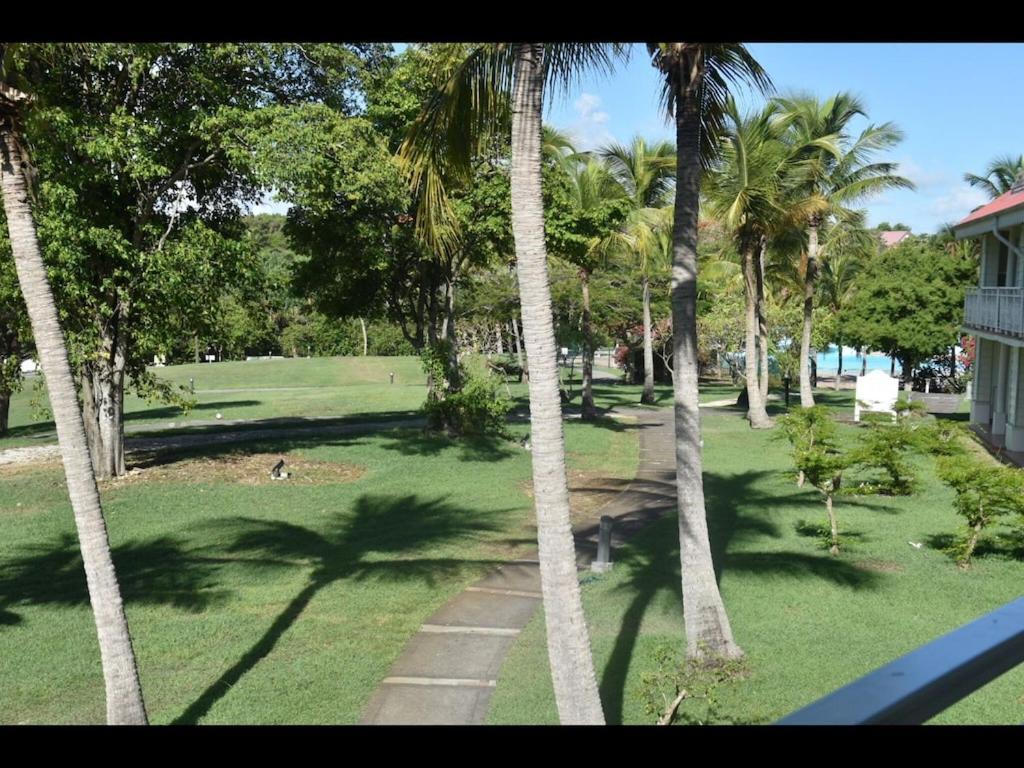 Studio Village Vacances,Vue Mer, Plage A 30M ,Wifi A Sainte Anne Zewnętrze zdjęcie